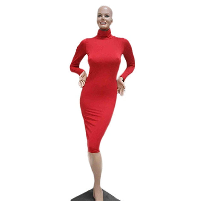 Slim Long Sleeve Bodycon Dress