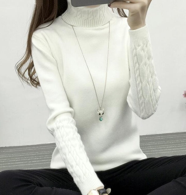 Thick Warm Women Turtleneck Sweater