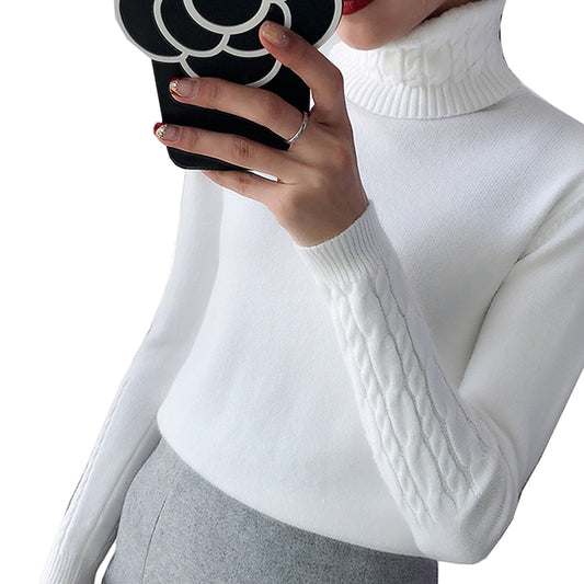 Thick Warm Women Turtleneck Sweater