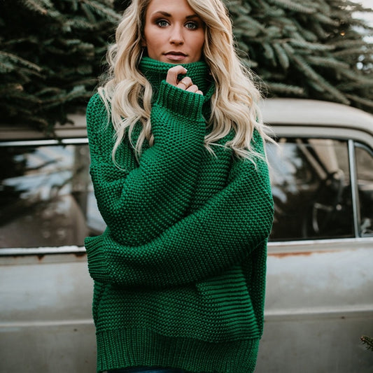 Casual Solid Turtleneck Sweater